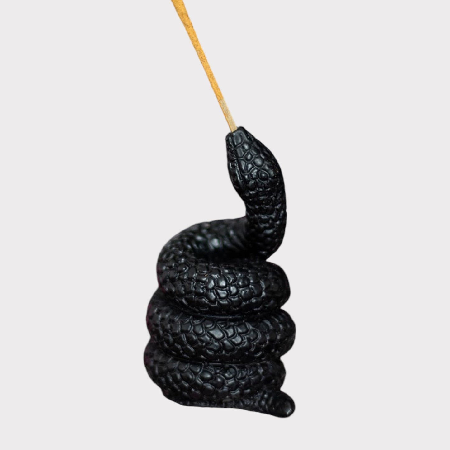 Black Coiled Snake Incense Stick Holder