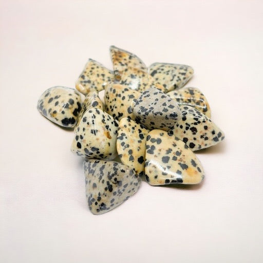 Dalmatian Jasper tumblestone