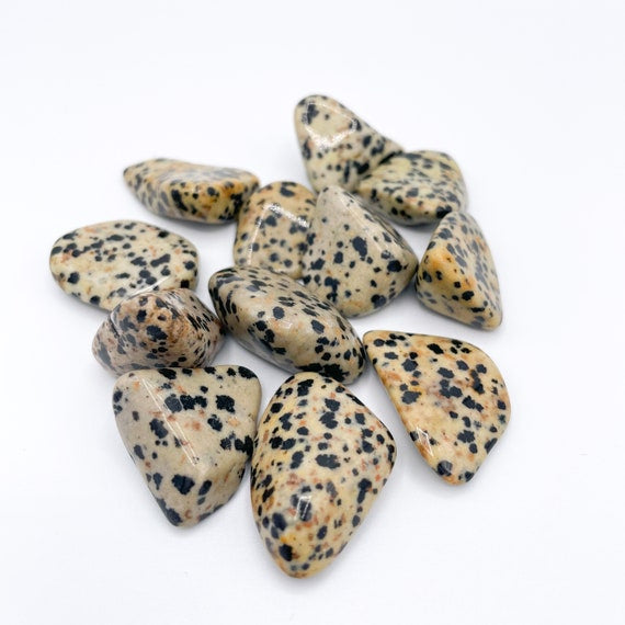 Dalmatian Jasper tumblestone