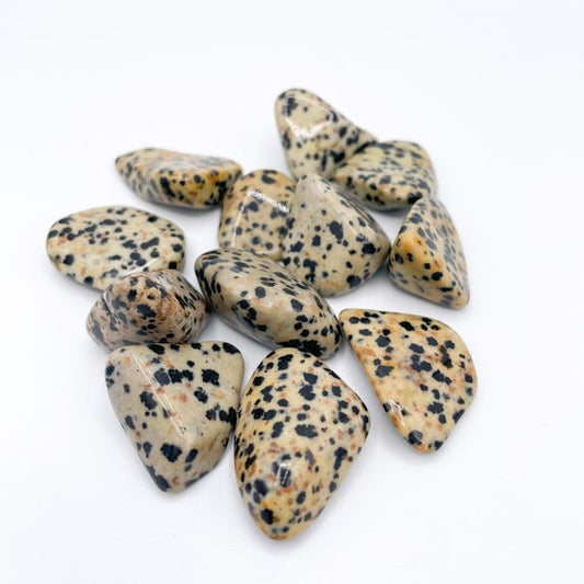 Dalmatian Jasper tumblestone